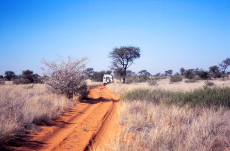 The Kgalagadi Transfrontier Park .